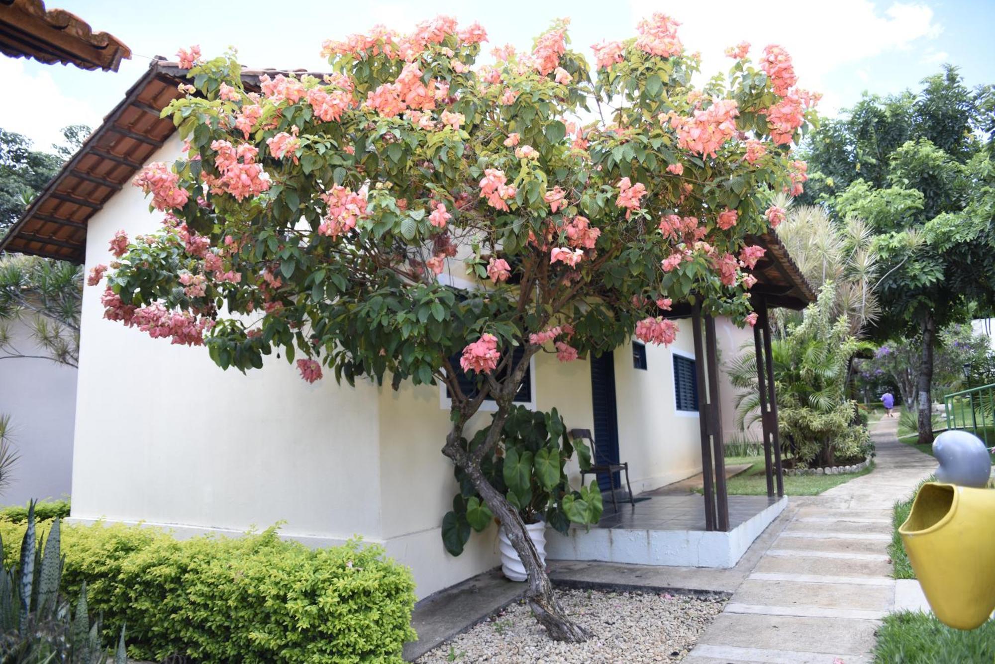Rosa Spa E Pousada Aparecida de Goiania Luaran gambar